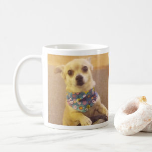 Schattigee Bandana Chihuahua Pet Custom Koffiemok