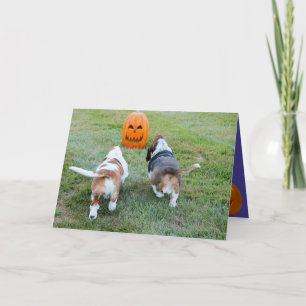 Schattigee Basset Hounds op grappige Halloween-Kaa Kaart