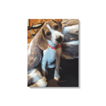 Schattigee Beagle Puppy met harige deken canvas pr