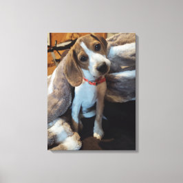 Schattigee Beagle Puppy met harige deken canvas pr Afdruk