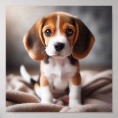 Schattigee beagle puppy met mooie ogen poster (Voorkant)