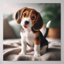 Schattigee beagle puppy