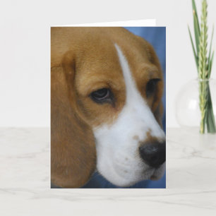 Schattigee Beagle Wenskaarten Kaart