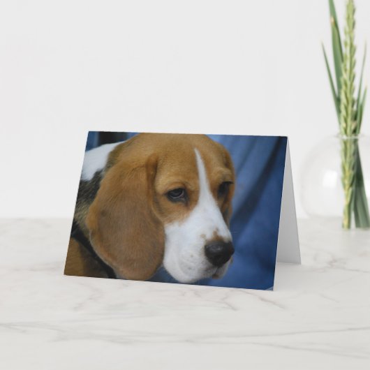 Schattigee Beagle Wenskaarten Kaart (Voorkant)