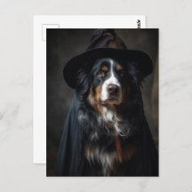 Schattigee Berner Sennenhond Heks