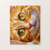 Schattigee Big Eyed Ginger Cat Legpuzzel (Verticaal)