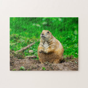 Schattigee Black-Tailed Prairie Dog Jigsaw puzzel