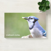 Schattigee Blauwe Jay Zangvogel met Pinda Post-it® Notes (Kantoor)