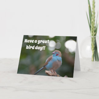 Schattigee blauwe vink verjaardag kaart