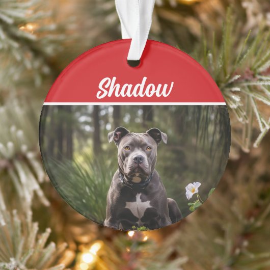 Schattigee Bluenose Pitbull Hond Vakantie Kerstfot Ornament (Boom)