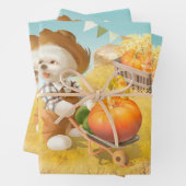 Schattigee Boerenhond met Pompoen Inpakpapier Vel (In situ)