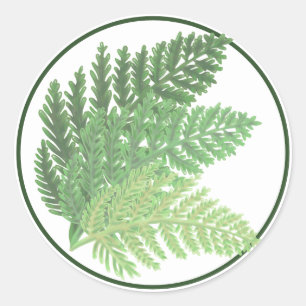 Schattigee boho Moss Green Fern Ronde Sticker