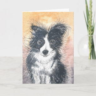 Schattigee Border Collie Kaart, voor Collie liefhe Kaart