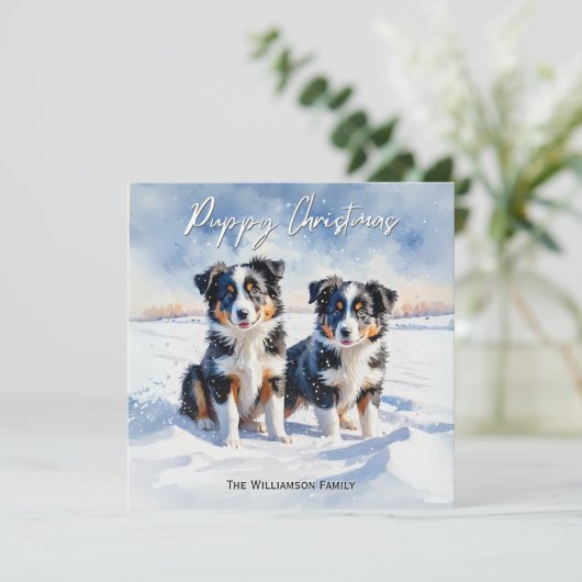 Schattigee Border Collie Puppies in Snow Puppy Chr Feestdagenkaart (Staand voorkant)