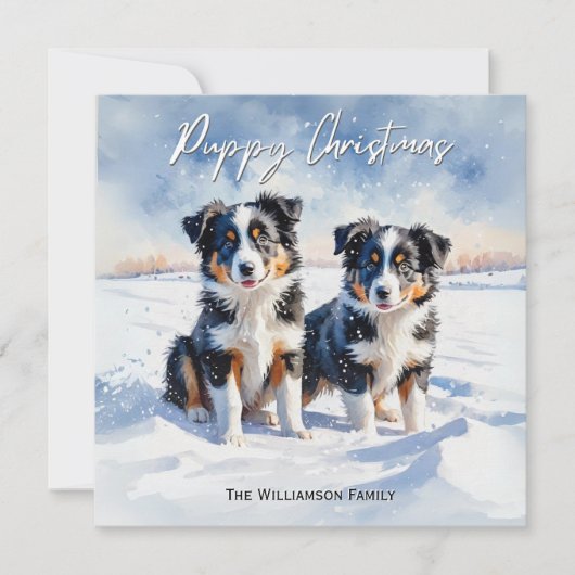 Schattigee Border Collie Puppies in Snow Puppy Chr Feestdagenkaart (Voorkant)