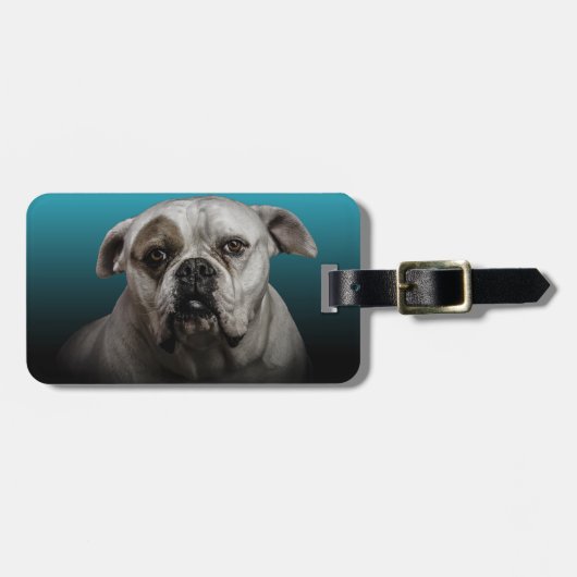 Schattigee Boxer Dog w Blue Black Gradient achterg Bagagelabel (Voorkant horizontaal)