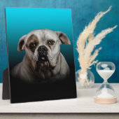 Schattigee Boxer Dog w Blue Black Gradient achterg Fotoplaat (Zijkant)