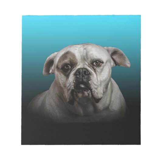 Schattigee Boxer Dog w Blue Black Gradient achterg Notitieblok (Voorkant)