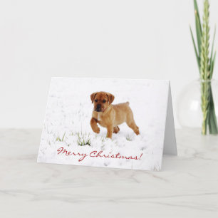 Schattigee Boxer Puppy Dog Kerst Wenskaart Feestdagen Kaart