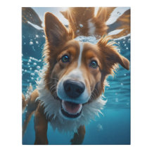 Schattigee Bruine en Witte Hond Onderwater
