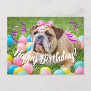 Schattigee Bulldog Happy Birthday Briefkaart