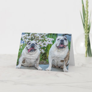 Schattigee Bulldogs Beste Vrienden Gepersonaliseer Kaart
