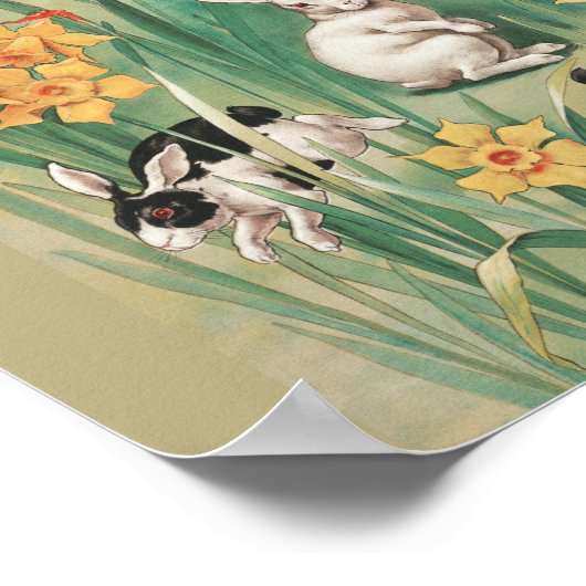 Schattigee Bunnies met Daffodil Flowers Antiek Pas Poster (Hoek)
