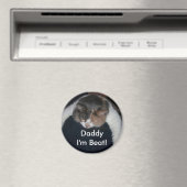 Schattigee Calico slaapkat over schouder Magneet (Insitu (Vaatwasser))