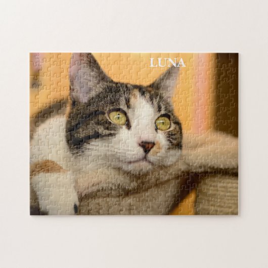 Schattigee Cat Calico Legpuzzel (Horizontaal)