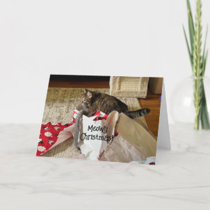 Schattigee Cat Christmas, genieten van cadeau aang Aankondiging