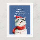 Schattigee Cat Merry Christmas Post Kaart (Voorkant)