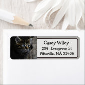 Schattigee Cat Photo Return Adres Label (Insitu)