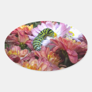 Schattigee Caterpillar Stickers