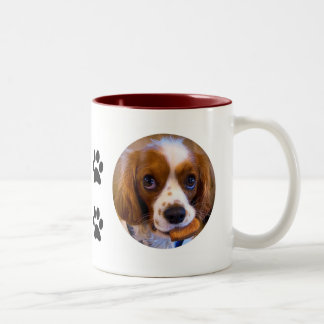 Schattigee Cavalier King Charles Spaniel Koffie Mo Tweekleurige Koffiemok
