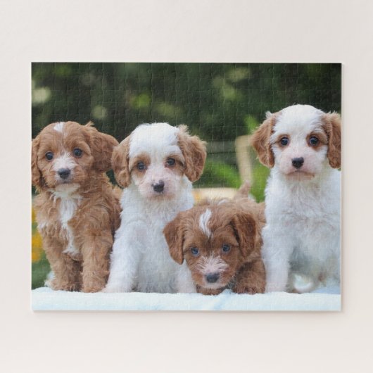 Schattigee Cavapoo Puppy Dogs Legpuzzel (Horizontaal)