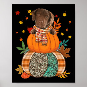 Schattigee Chesapeake Bay Retriever Pumpkinthanksg Poster