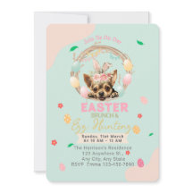 Schattigee Chihuahua Bunny Easter