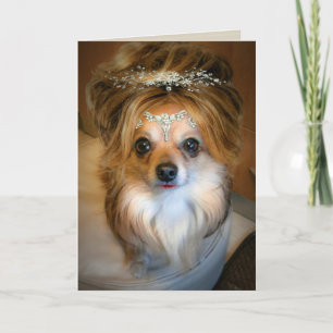 Schattigee Chihuahua dragen van een pruik Verjaard Kaart