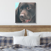 Schattigee Chocolade Lab Canvas Print (Insitu (Slaapkamer))