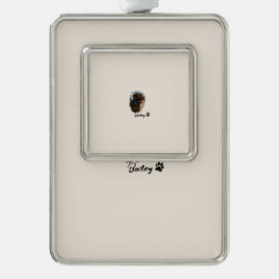 Schattigee Chocolade Labrador Hond – Bailey Kado Verzilverd Kader Ornament