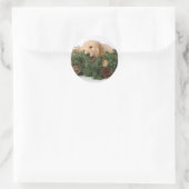 Schattigee Christmas Dog Stickers (Tas)
