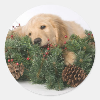 Schattigee Christmas Dog Stickers