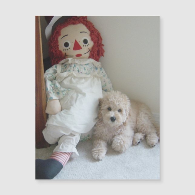 Schattigee Cockapoo Puppy Dog & Rag Doll Foto (Voorkant)