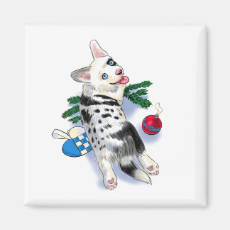Schattigee Corgi blue merle Magneet