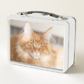 Schattigee Curly Naam Cat Foto (Achterkant)