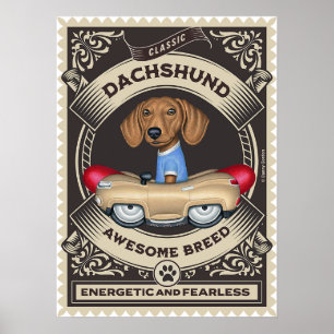 Schattigee Dachshund Rijden Golden Sausage Car Poster