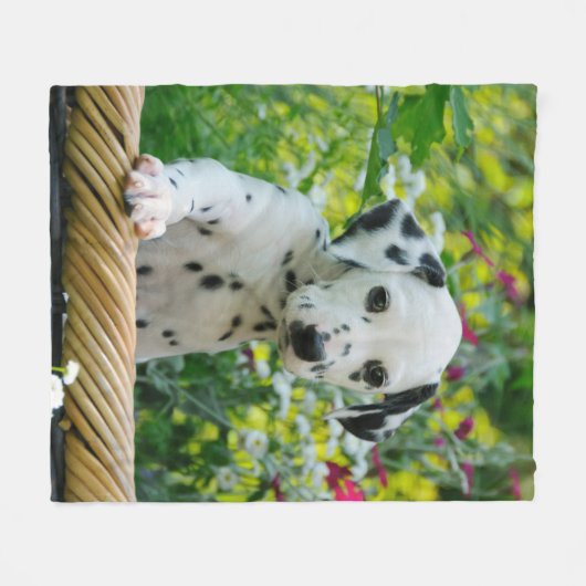 Schattigee Dalmatische Hond Puppy, comfort Fleece Deken (Voorkant (Horizontaal))