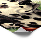 Schattigee Dalmatische Illustratie Poster (Hoek)