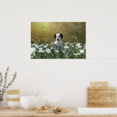 Schattigee Dalmatische puppy in madeliefjes Poster (Keuken)