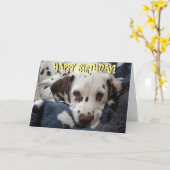 Schattigee Dalmatische puppy verjaardagskaart Kaart (Gele Bloem)